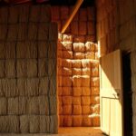 Sustainable Residential Building Codes in Prince George: What to Know